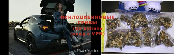 стафф Покровск