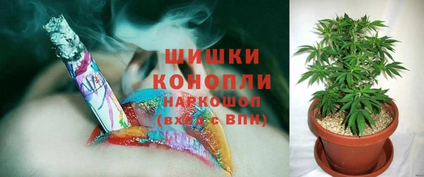 стафф Покровск