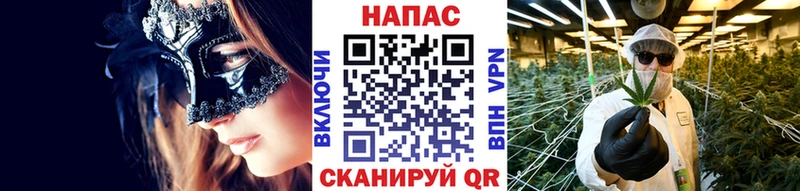 Купить закладки  Кочубеевское  Конопля VHQ 